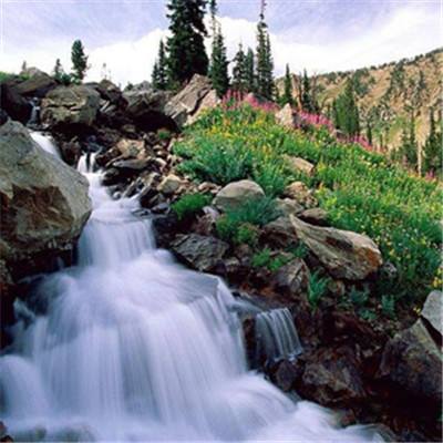 幸运彩票最新版app